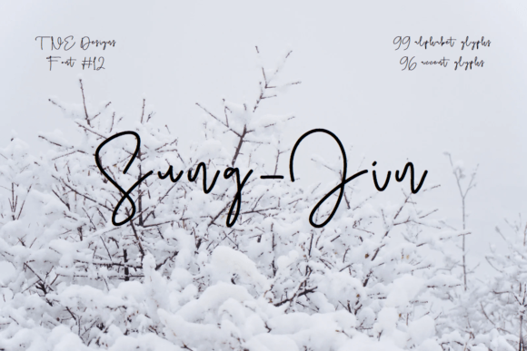 Sung-jin: The Signature Script Font That Elevates Campaign Visuals