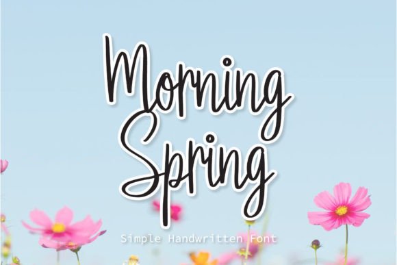 Testing Morning Spring for a Cozy Online Store